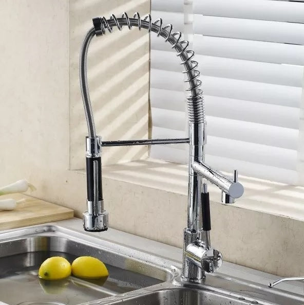 Nysha Stainless Steel Pull-Down Kitchen Faucet with Extra Tap, Model M4