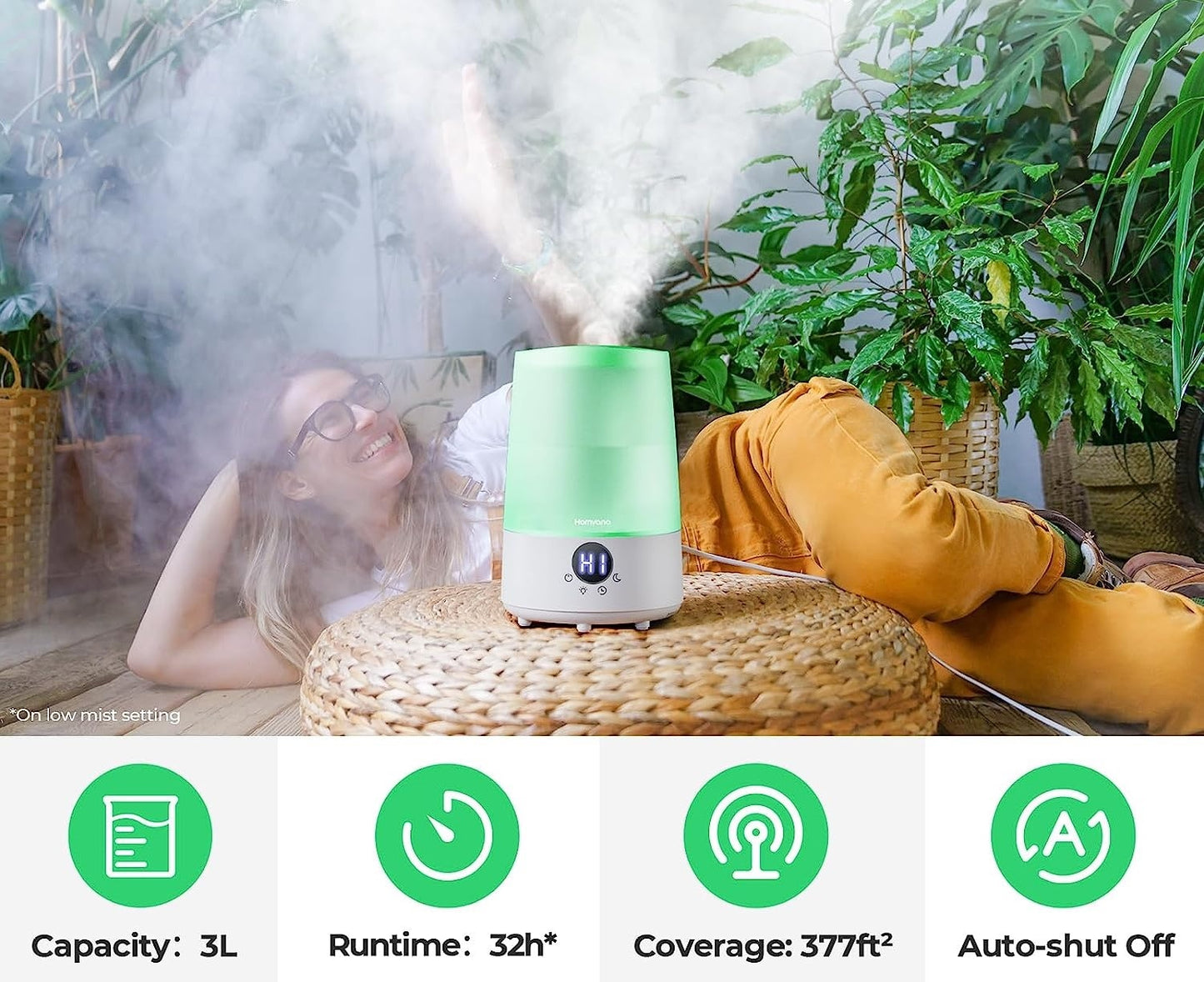 Cool Mist Humidifier, 3L Capacity