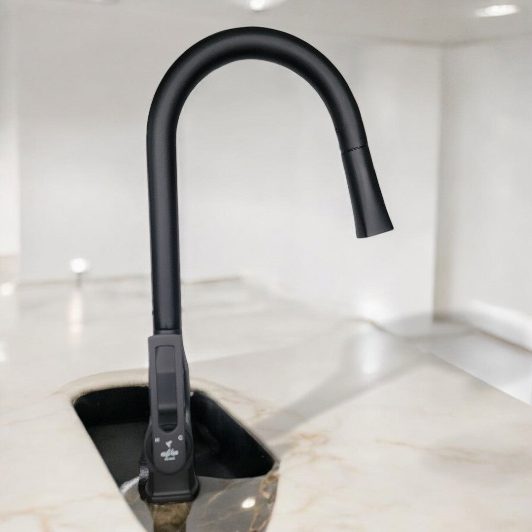 Nysha Pull Out Kitchen Faucet, Model M9