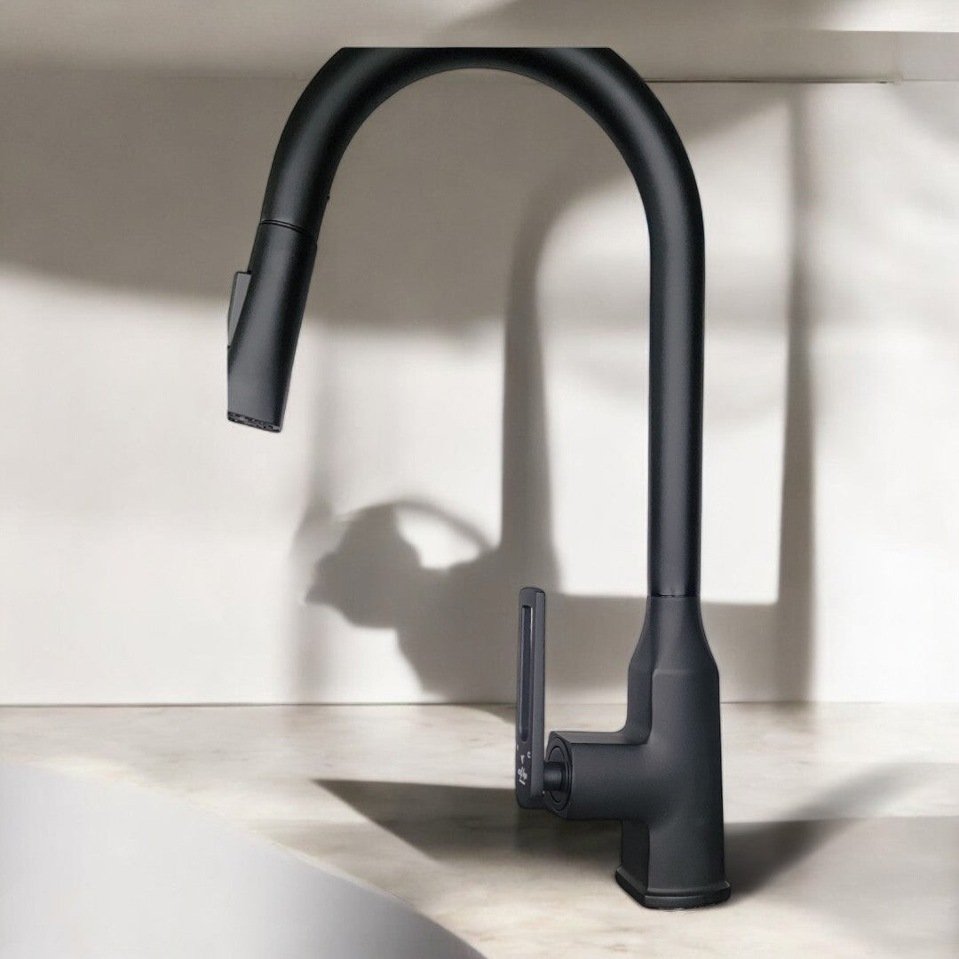 Nysha Pull Out Kitchen Faucet, Model M9