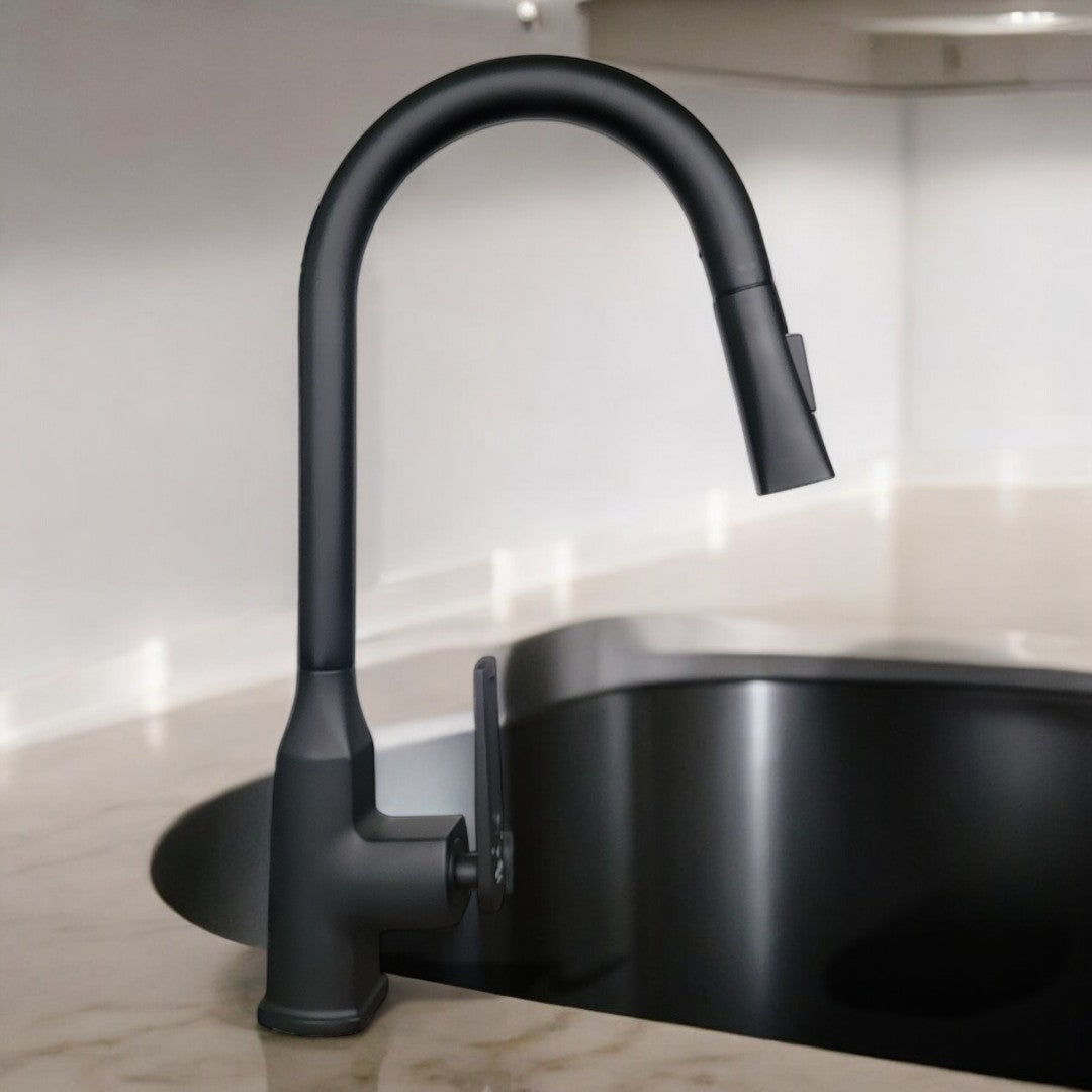 Nysha Pull Out Kitchen Faucet, Model M9