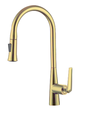 Nysha Pull Out Kitchen Faucet, Model M8