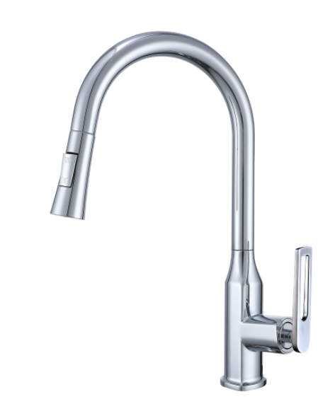 Nysha Pull Out Kitchen Faucet, Model M9