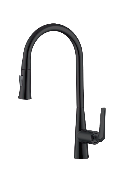 Nysha Pull Out Kitchen Faucet, Model M8