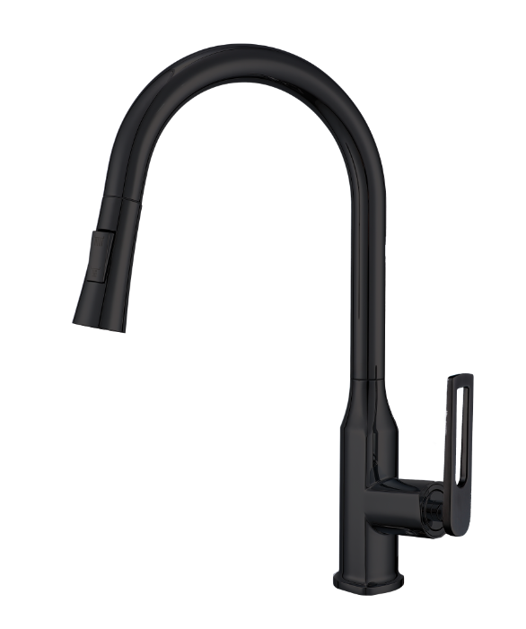 Nysha Pull Out Kitchen Faucet, Model M9